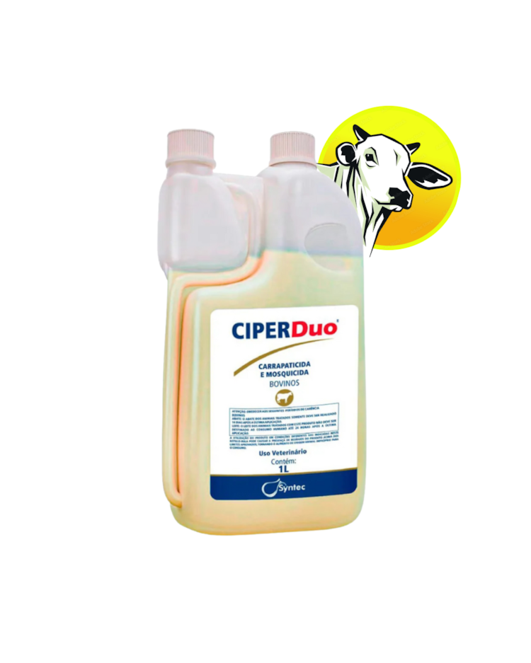 image_c26b8cee-51a7-4a5a-9652-f4cfd4bb0c49