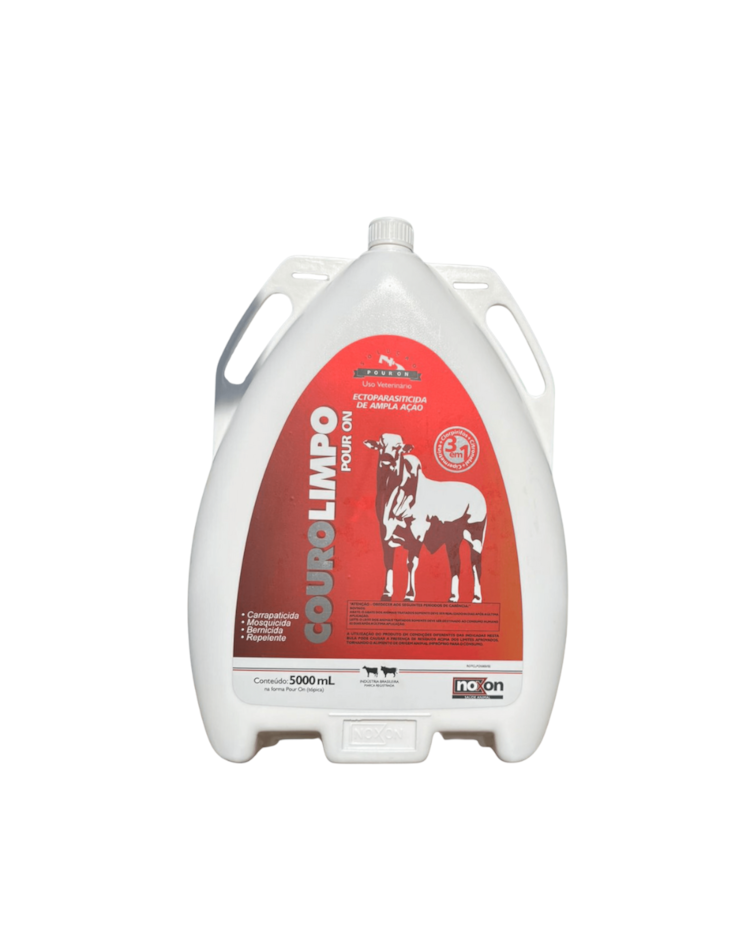 image_a815b2c7-1f67-4961-b36d-1e3205521f98