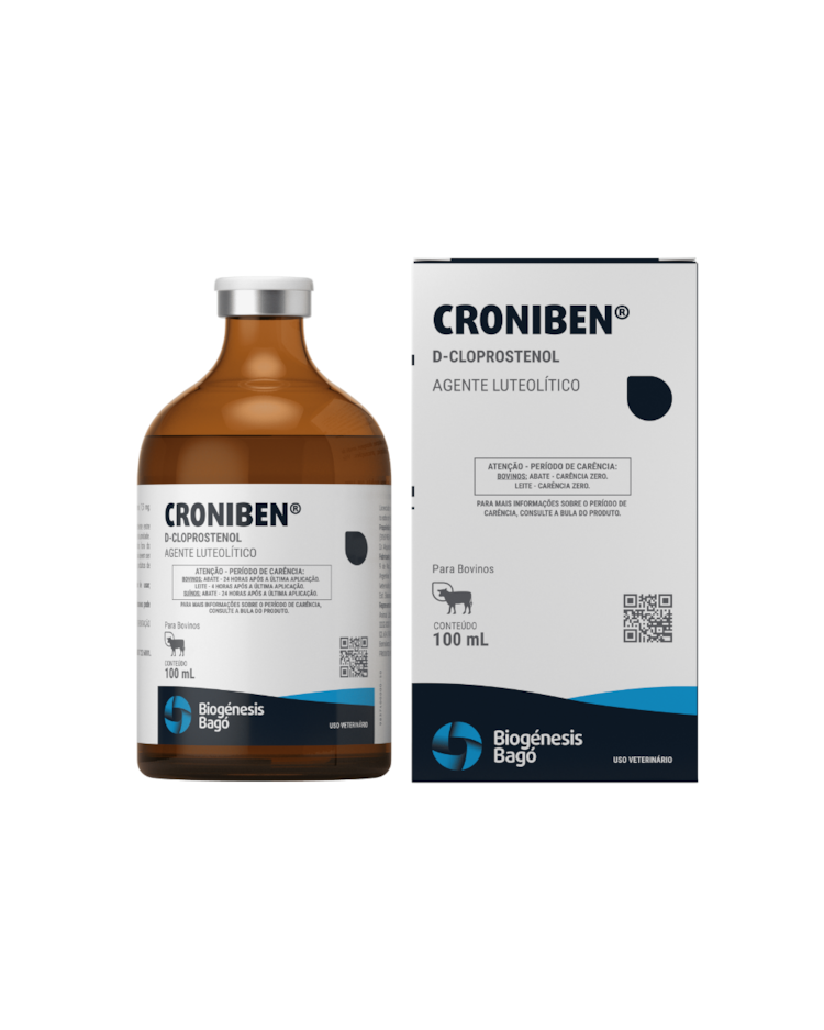 image_54b1f2a9-e6a8-4fb6-b888-7933b4b15597