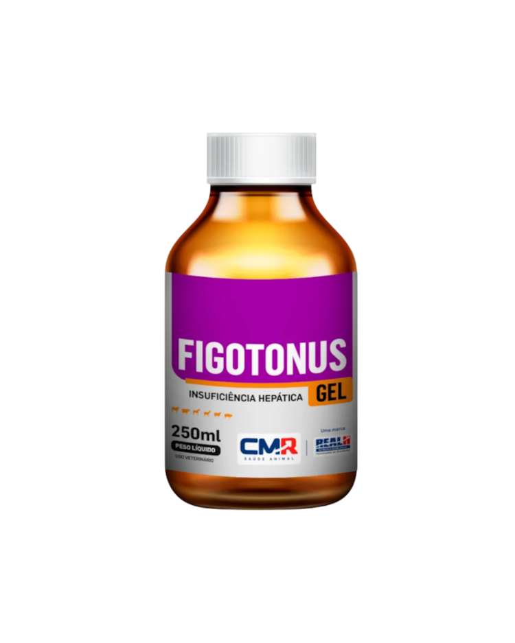 image_51ceeedb-652e-49aa-98fe-27686e6ae4b9