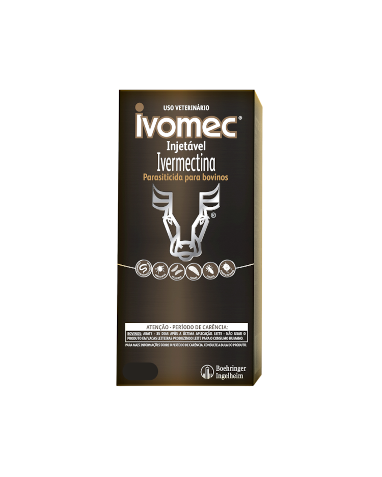 image_a98baa7b-6fdf-46fa-88c3-ad36ad1e7400