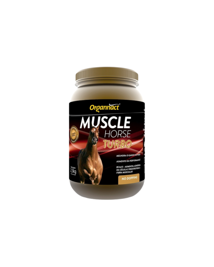 image_9481037d-abee-4a5c-ace4-8b8b3b5b3577