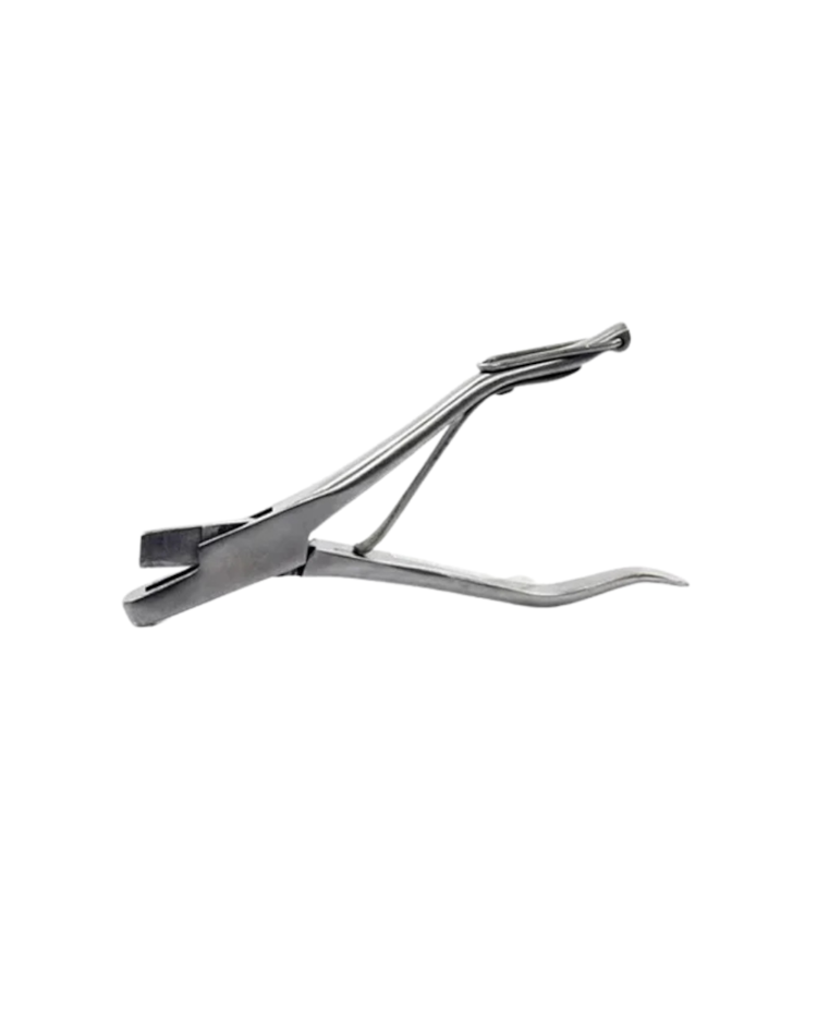 image_4dfee11f-ed6c-4246-8c37-a0b24418fc7e