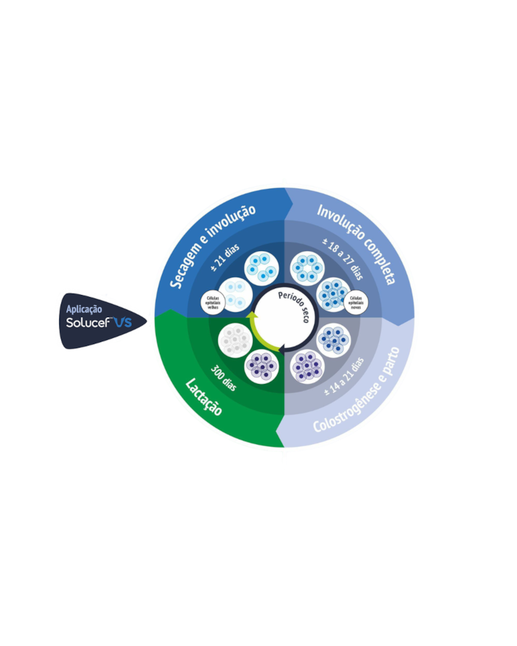 image_a5b46b78-db30-4fcc-97d3-d63b93603f96